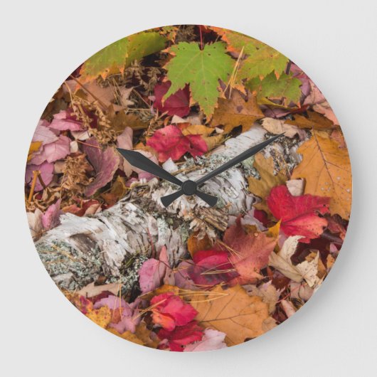 De herfst van Maple laat Hoesje op bosgrond vallen Grote Klok (Voorkant)
