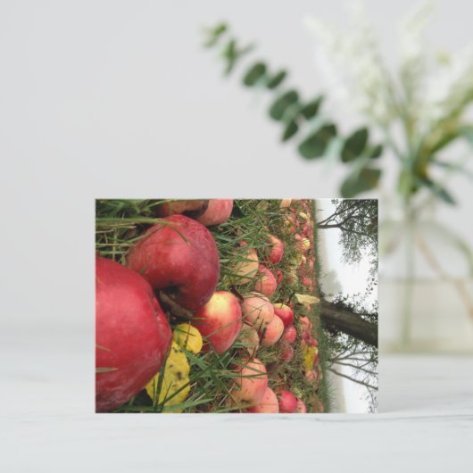 De herfst van Morning in het Briefkaart Orchard (Staand voorkant)