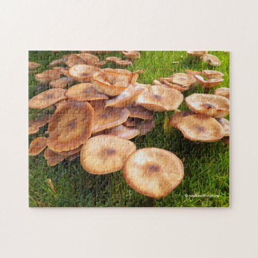 De Herfst van paddenstoelen Legpuzzel (Horizontaal)