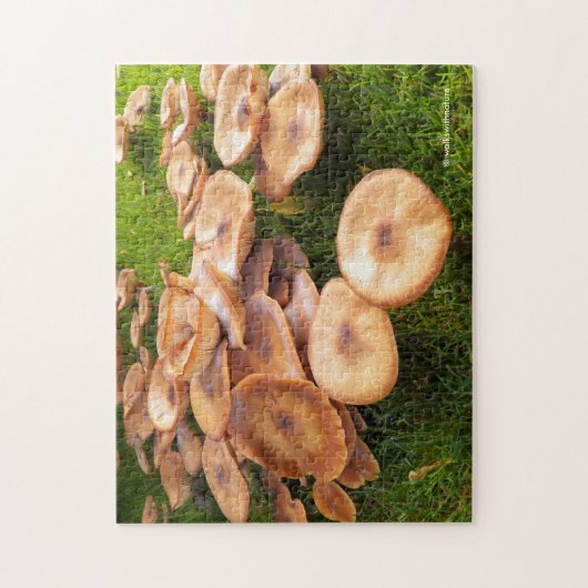 De Herfst van paddenstoelen Legpuzzel (Verticaal)