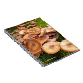 De Herfst van paddenstoelen Notitieboek (Rechterzijde)