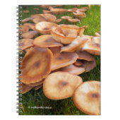 De Herfst van paddenstoelen Notitieboek (Voorkant)