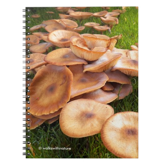De Herfst van paddenstoelen Notitieboek (Voorkant)