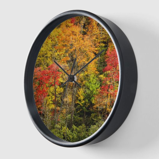 De herfst van Sims Pond North Carolina, Blue Ridge (Hoek)