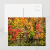 De herfst van Sims Pond North Carolina, Blue Ridge Briefkaart (Voorkant / Achterkant)