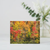 De herfst van Sims Pond North Carolina, Blue Ridge Briefkaart (Staand voorkant)