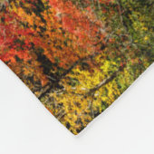 De herfst van Sims Pond North Carolina, Blue Ridge Fleece Deken (Hoek)