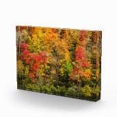 De herfst van Sims Pond North Carolina, Blue Ridge Fotoblokken (Rechts)