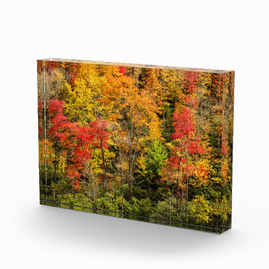 De herfst van Sims Pond North Carolina, Blue Ridge Fotoblokken (Rechts)