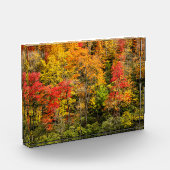 De herfst van Sims Pond North Carolina, Blue Ridge Fotoblokken (Links)