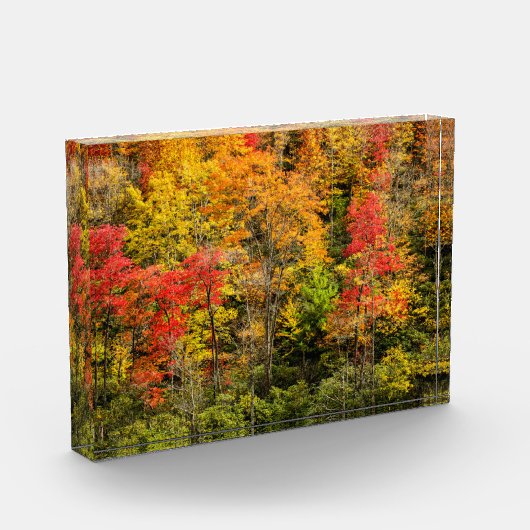 De herfst van Sims Pond North Carolina, Blue Ridge Fotoblokken (Links)