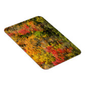 De herfst van Sims Pond North Carolina, Blue Ridge Magneet (Rechterzijde)