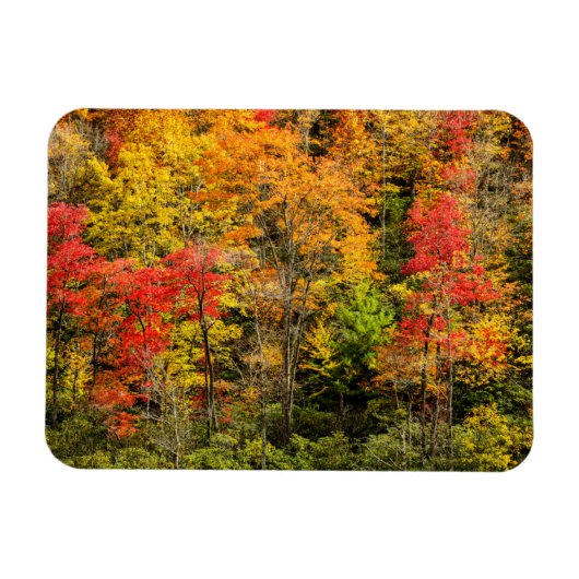 De herfst van Sims Pond North Carolina, Blue Ridge Magneet (Horizontaal)