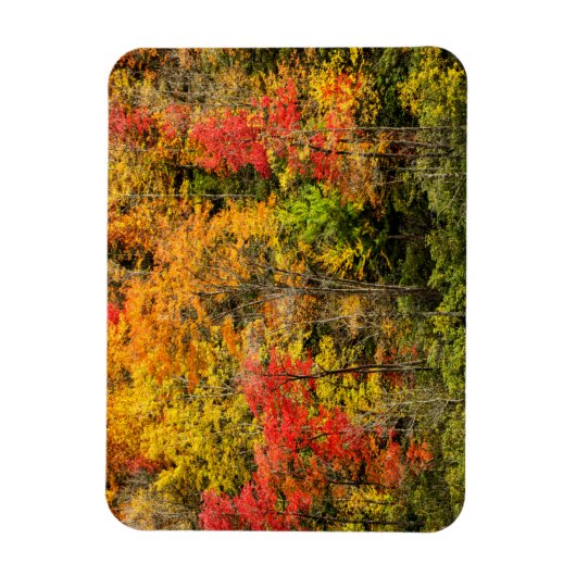 De herfst van Sims Pond North Carolina, Blue Ridge Magneet (Verticaal)