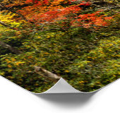 De herfst van Sims Pond North Carolina, Blue Ridge Poster (Hoek)