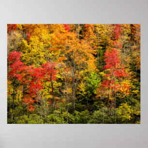 De herfst van Sims Pond North Carolina, Blue Ridge Poster