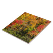 De herfst van Sims Pond North Carolina, Blue Ridge Tegeltje (Zijkant)