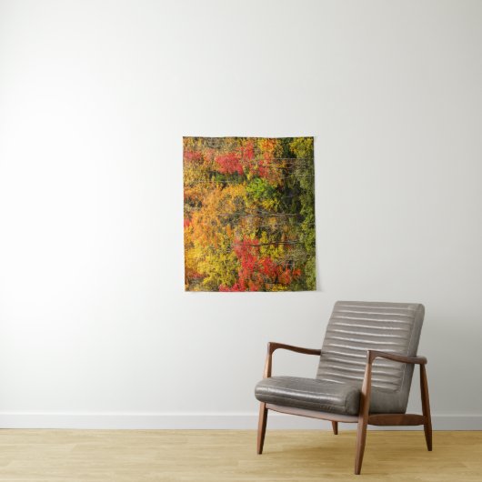 De herfst van Sims Pond North Carolina, Blue Ridge Wandkleed (In situ)