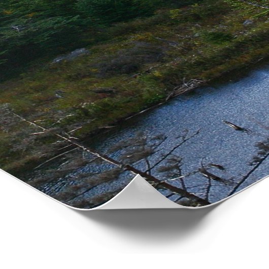 de herfst van vermont ziet bomen over het hoofd poster (Hoek)