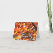 De herfst verlaat 2 kaart (Voorkant)