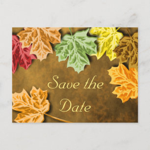 De herfst verlaat sparen het Briefkaart van de Dat