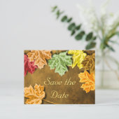 De herfst verlaat sparen het Briefkaart van de Dat (Staand voorkant)