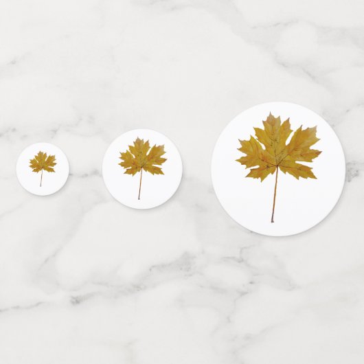 De herfst verlaat waterverf in valkleuren confetti (Achterkanten)