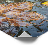 De herfstbladeren in het poster van de bosstroom (Hoek)