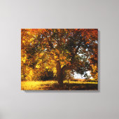 De herfstboom canvas afdruk (Voorkant)
