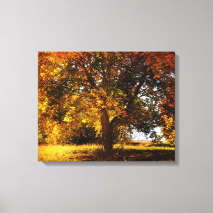 De herfstboom canvas afdruk