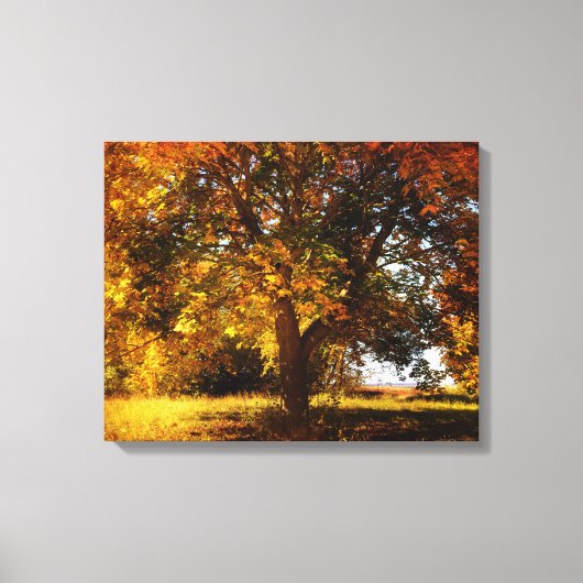 De herfstboom canvas afdruk (Voorkant)