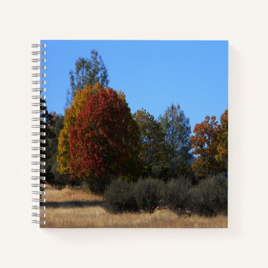 De herfstdag in het land..... notitieboek (Voorkant)
