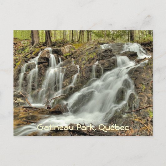 De Herfsten bij Mackenzie King Estate, Gatineau Pa Briefkaart (Voorkant)