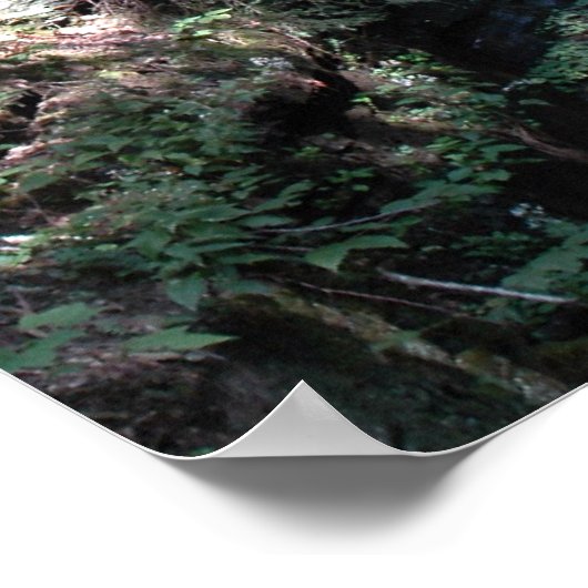 De Herfsten van Bushkill in de Poconos. druk 0206 Poster (Hoek)