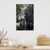 De Herfsten van Bushkill in de Poconos. druk 0206 Poster (Keuken)