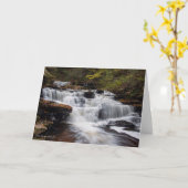 De Herfsten van Delaware - de Herfst van 2018 Kaart (Gele Bloem)