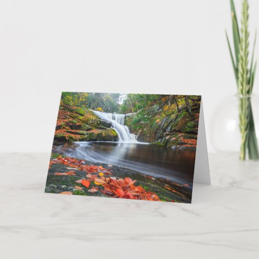 De Herfsten van Ender in Herfst Kaart (Voorkant)