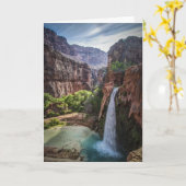 De Herfsten van Havasu Kaart (Gele Bloem)