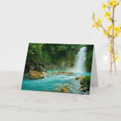 De Herfsten van Rio Celeste Kaart (Gele Bloem)