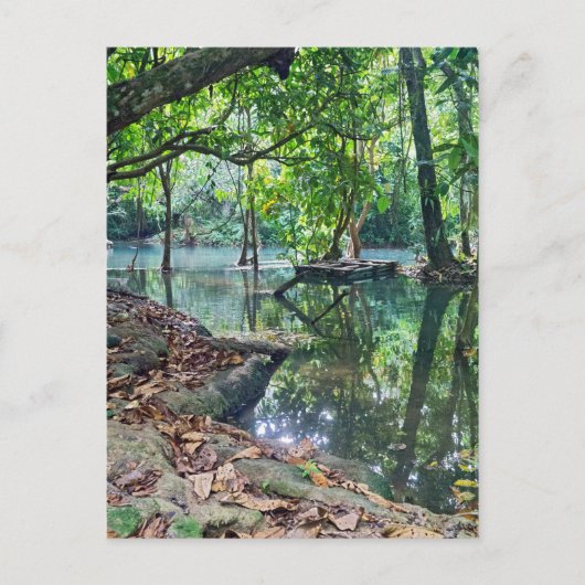 De Herfsten van Si van Khoung, BosMeer, Laos Briefkaart (Voorkant)