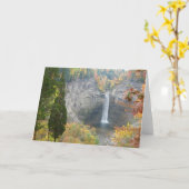 De Herfsten van Taughannock Kaart (Gele Bloem)