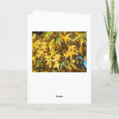 De herfstglorie van God Kaart (Achterkant)