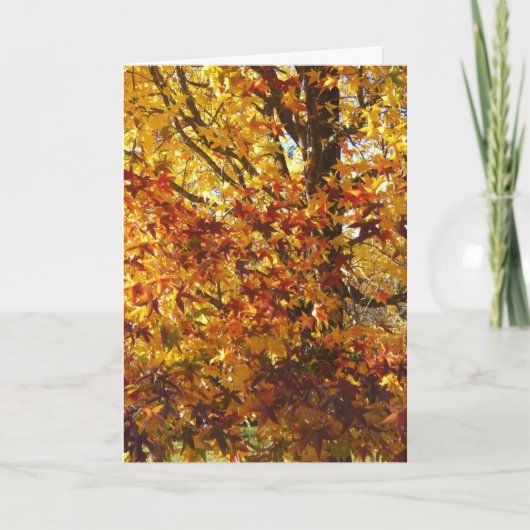 De herfstglorie van God Kaart (Voorkant)