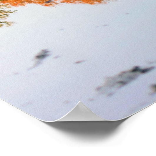 De herfstreflecties in een Natuur van de puddle Poster (Hoek)