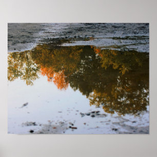 De herfstreflecties in een Natuur van de puddle Poster