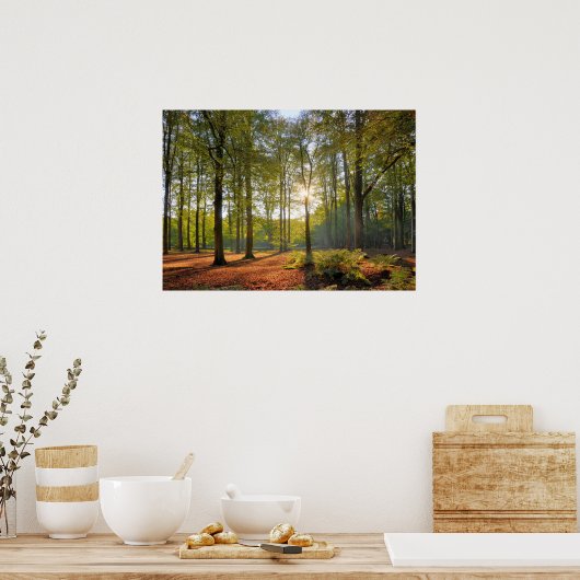 De herfstzon in het bos poster (Keuken)