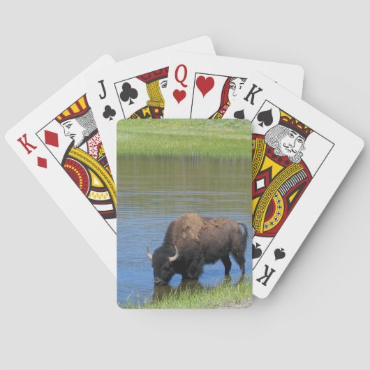 De Herinnering van de Buffels van Yellowstone Speelkaarten (Achterkant)