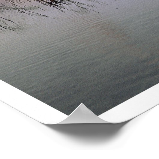 De Heron vliegt, Santa Rosa Poster (Hoek)