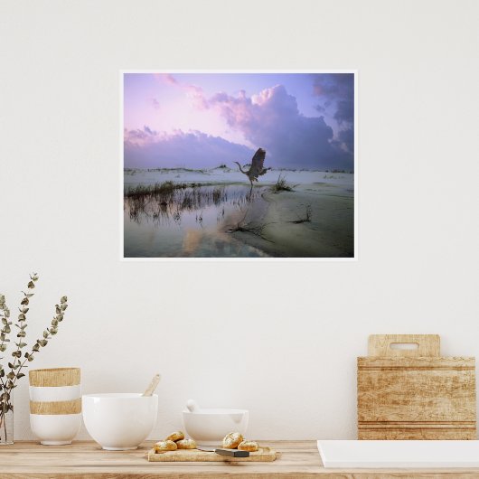 De Heron vliegt, Santa Rosa Poster (Keuken)