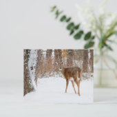 De Herten van de Bok van de Button op het Witte Briefkaart (Staand voorkant)